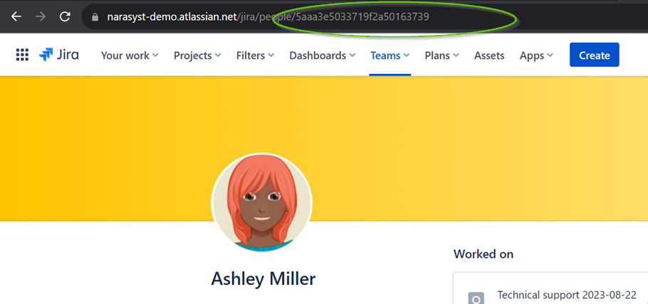 Ashley Miller Account ID Story Points